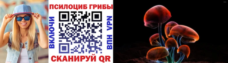 где можно купить   Нерчинск  Псилоцибиновые грибы мухоморы 